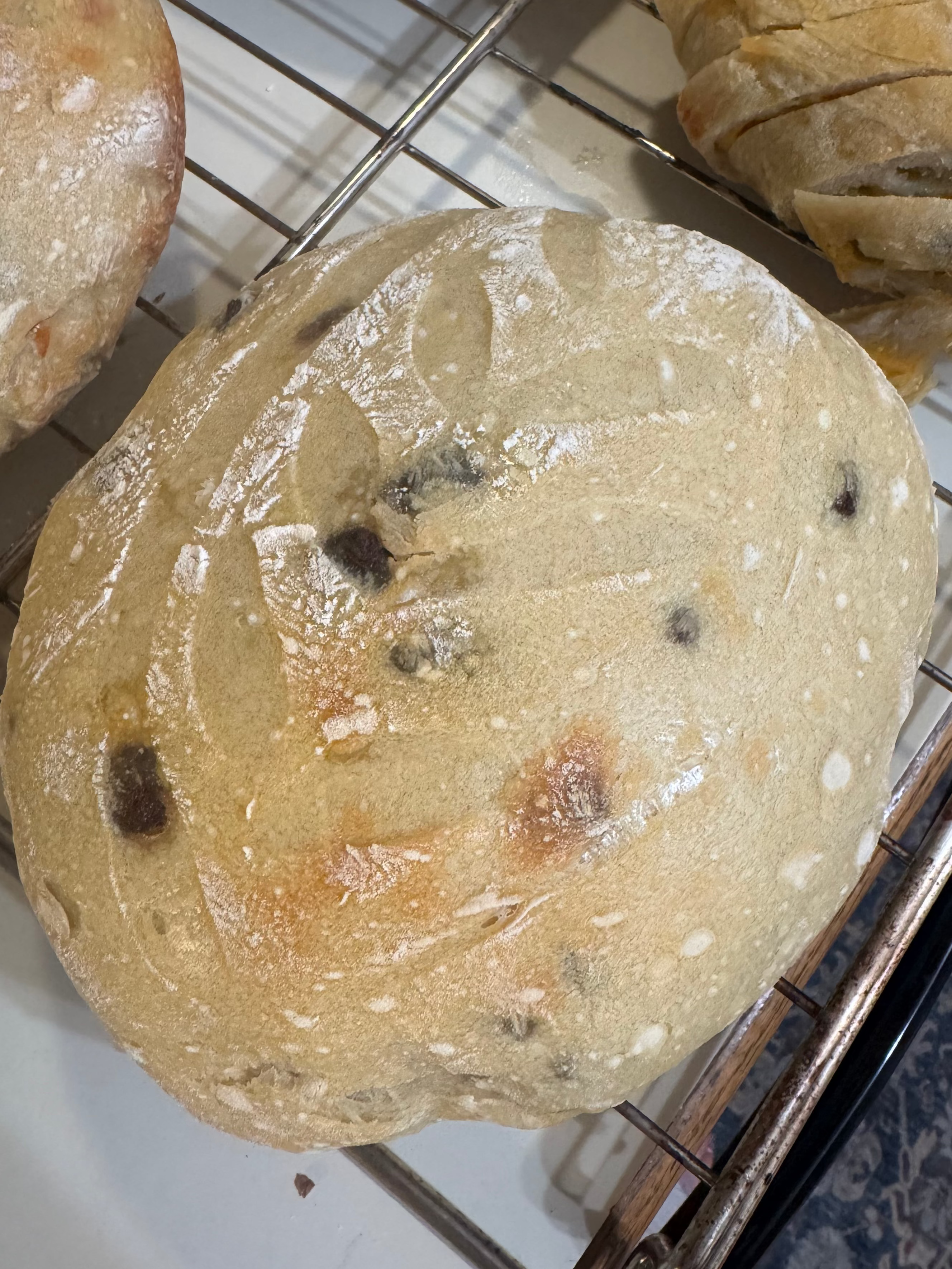 Chocolate Chip Sourdough